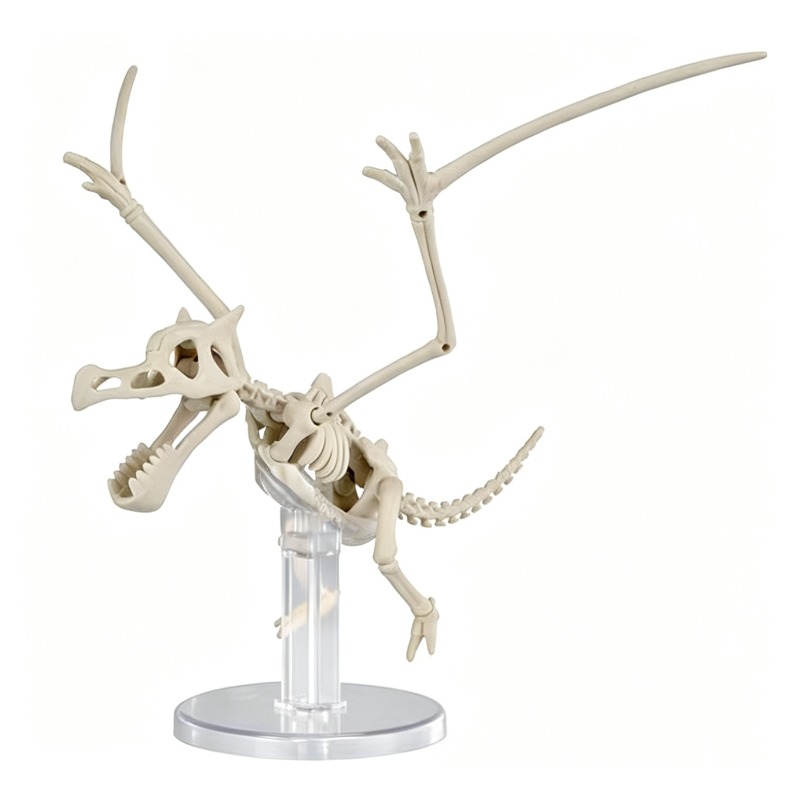 Modelo de Plástico de Pokémon  - Model Kit Kyogre reseña y precio